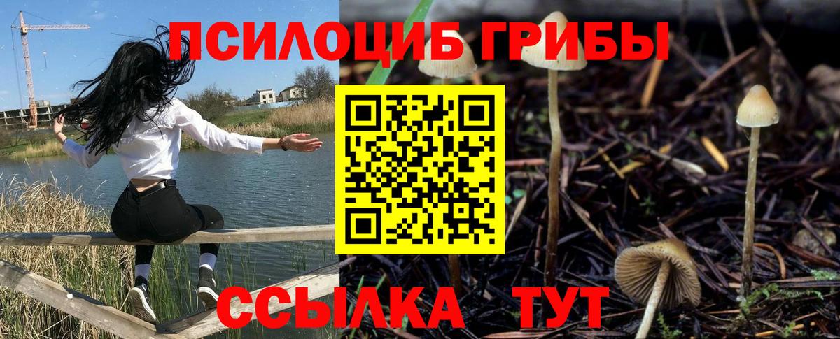 Псилоцибиновые грибы ЛСД Мариинск