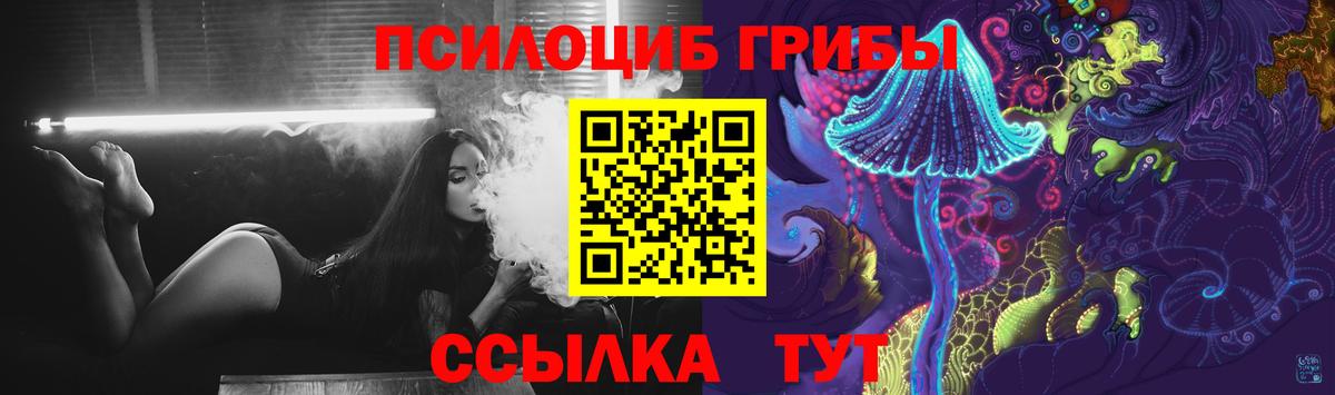 Псилоцибиновые грибы Cubensis  Галлюциногенные грибы прущие грибы  Вход с VPN  Мариинск 
